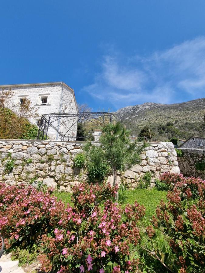 Casa Vita Nova Perast Exteriör bild