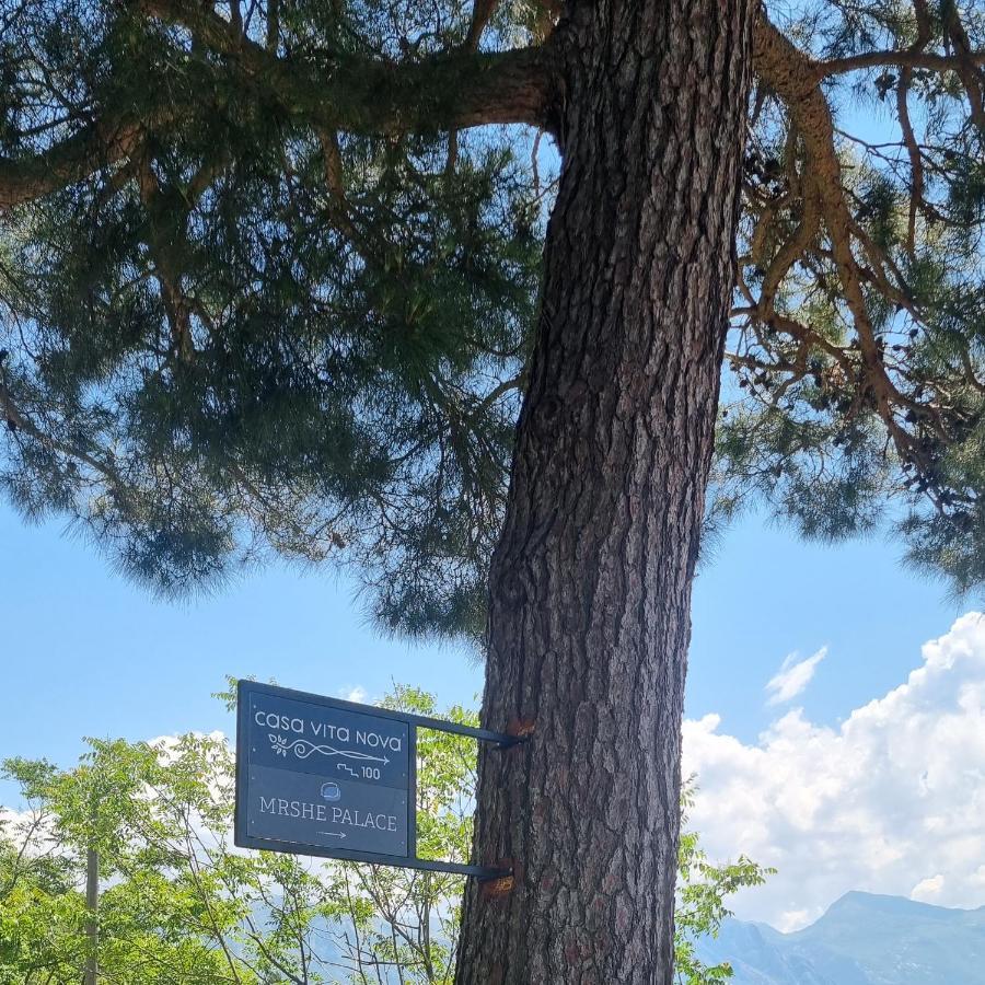 Casa Vita Nova Perast Exteriör bild